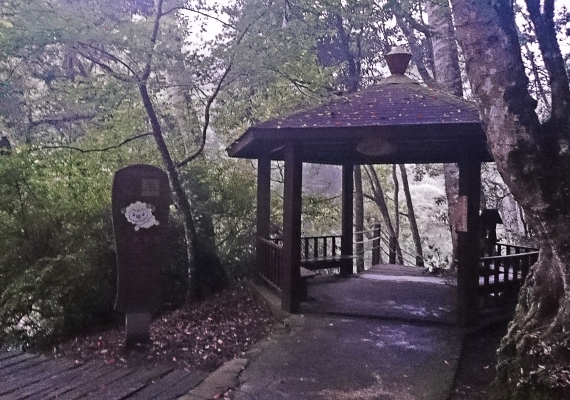 羊 / 88吊橋旁 (洲亭)