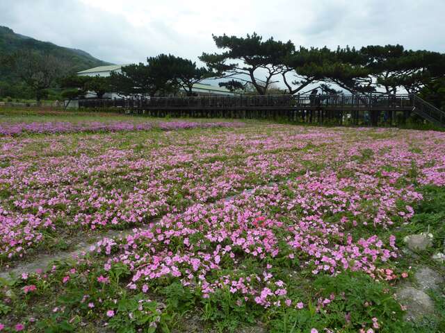 美山驛站
