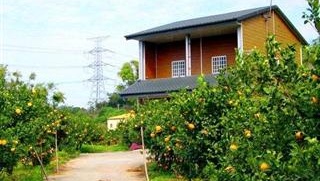 背影橘舍觀光果園