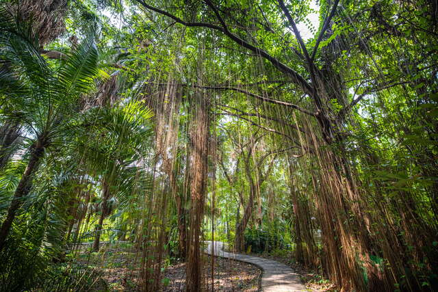 臺北植物園
