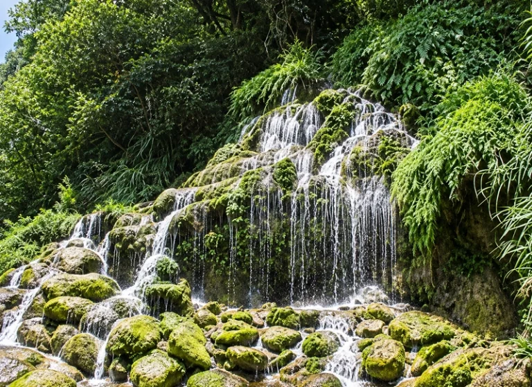 花崗水上青（賀伯颱風吹毀向未修復完整）