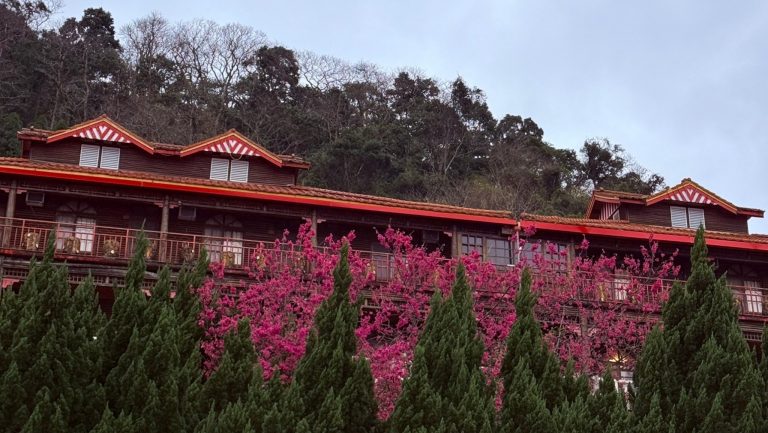 萬瑞森林樂園