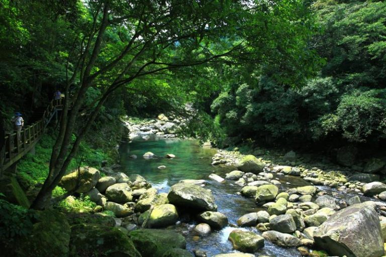 蓬萊溪護魚步道