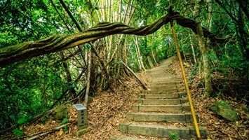 藤坪古道