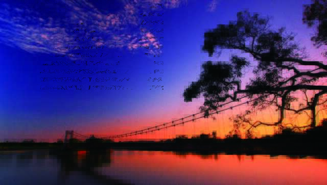 虎月吊橋