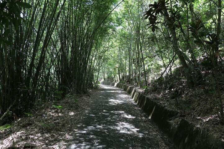 虎頭山步道
