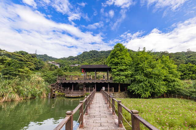 貓空樟樹步道