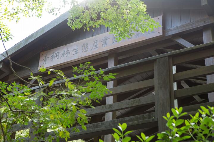 青桐林生態園區