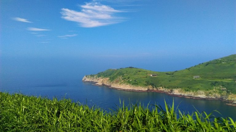 靜伏鱷魚
