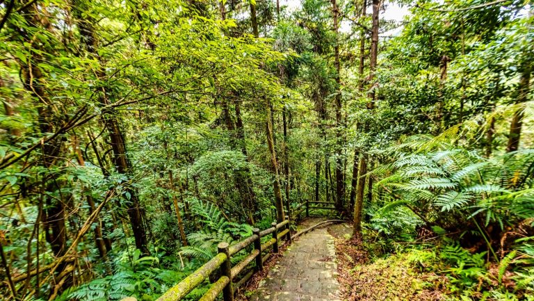 飛鳳山步道