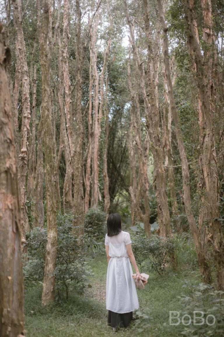 香山森林