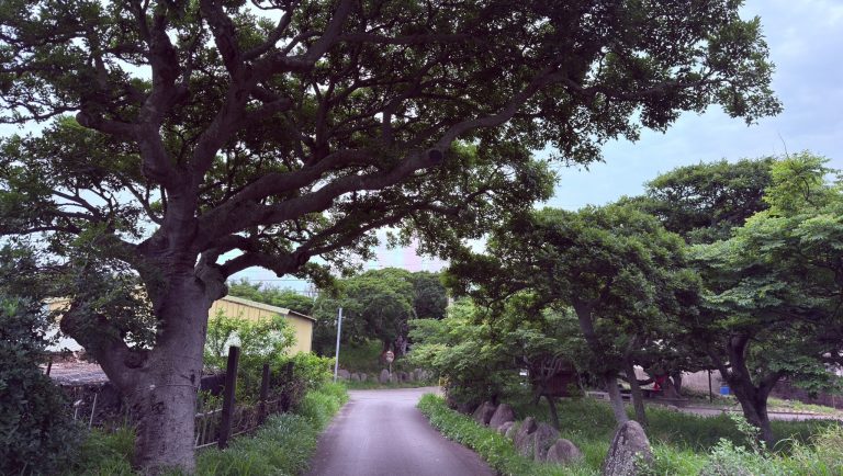 鳳坑公園