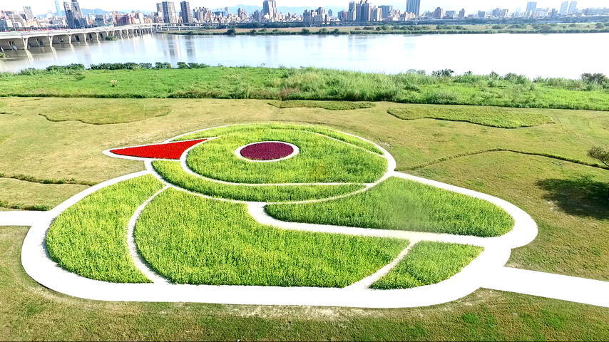 鴨鴨公園