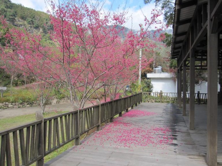 鹿場