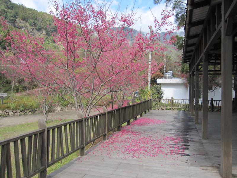 鹿場