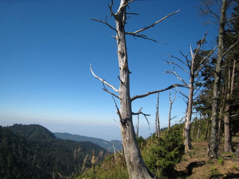鹿屈山