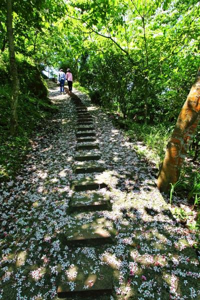 鹿廚坑步道