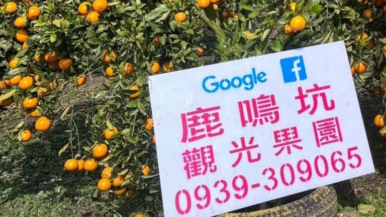 鹿鳴坑綜合觀光果園