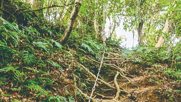 麥巴來登山步道
