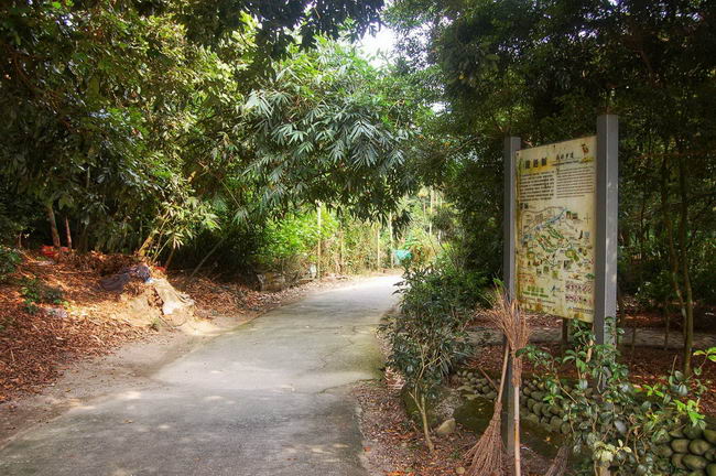 龍過脈步道